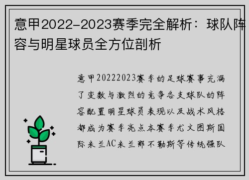 意甲2022-2023赛季完全解析：球队阵容与明星球员全方位剖析