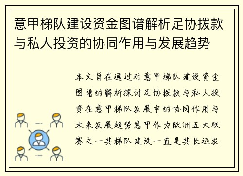 意甲梯队建设资金图谱解析足协拨款与私人投资的协同作用与发展趋势